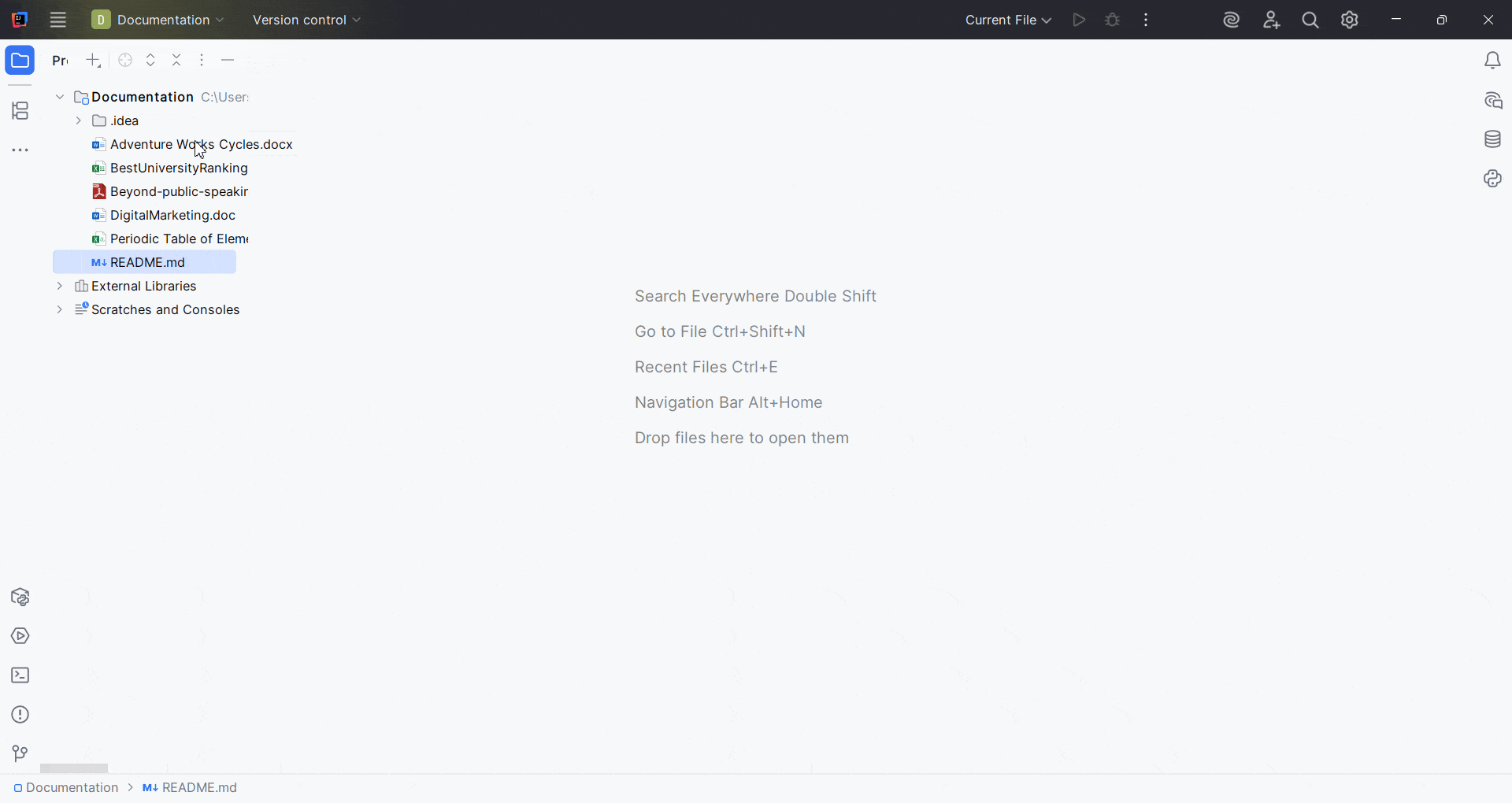 Syncfusion Document Viewer Plugin Interface