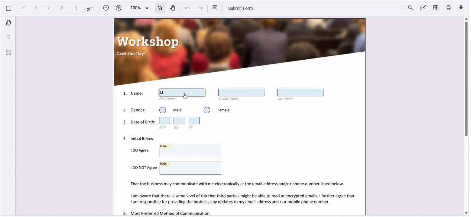 Seamless form filling interactive fields ready for real user data