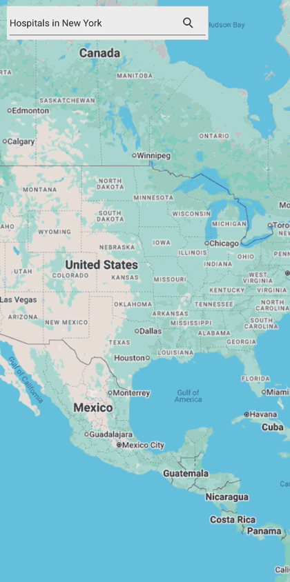 Google Maps in .NET MAUI