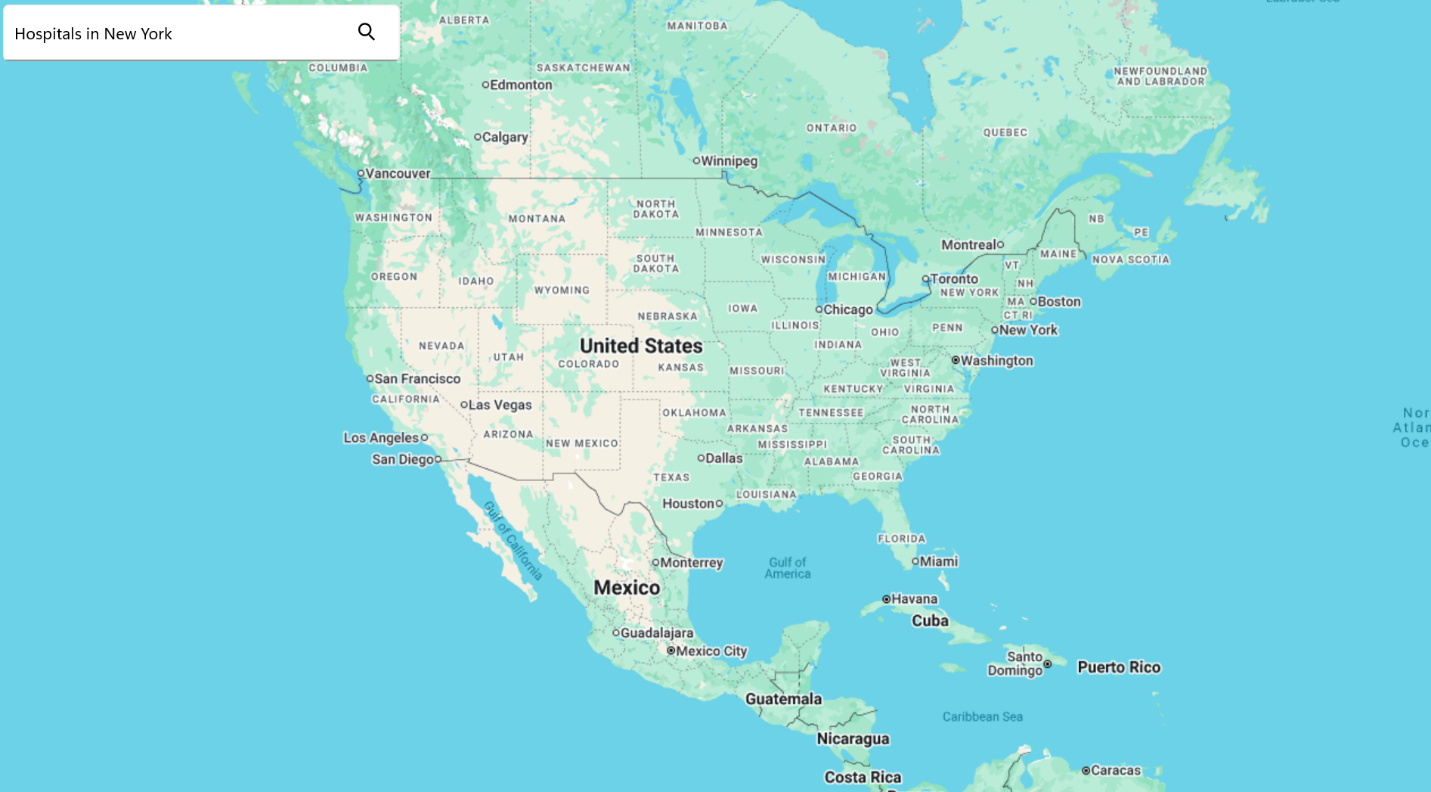 Google maps in .NET MAUI Windows