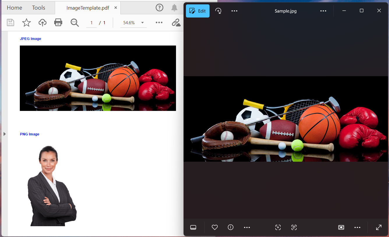 Image Extraction in TypeScript PDF Library