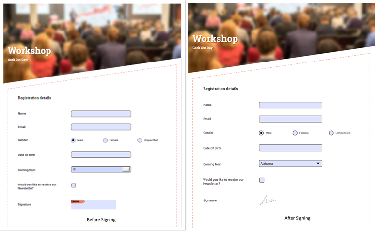 PDF form before and after adding a digital signature