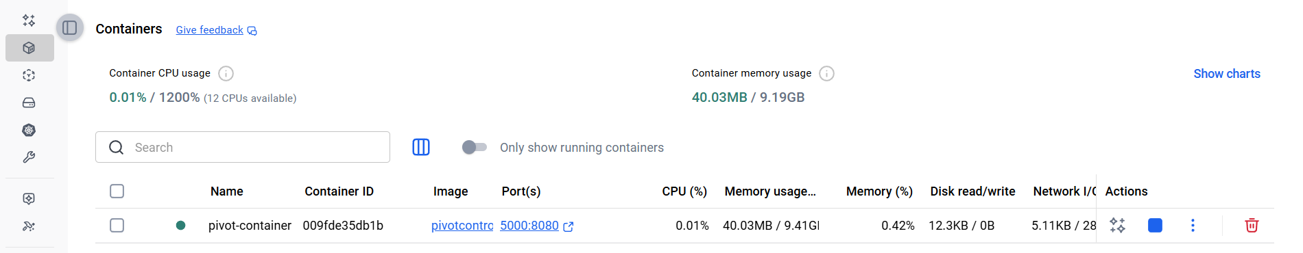 Verifying API Container Status