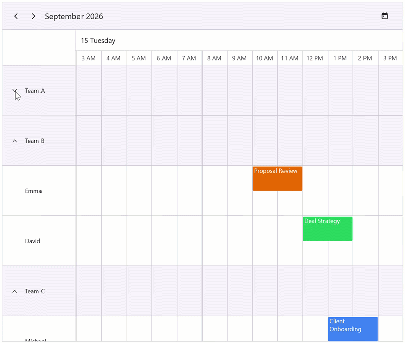 Hierarchical resource view