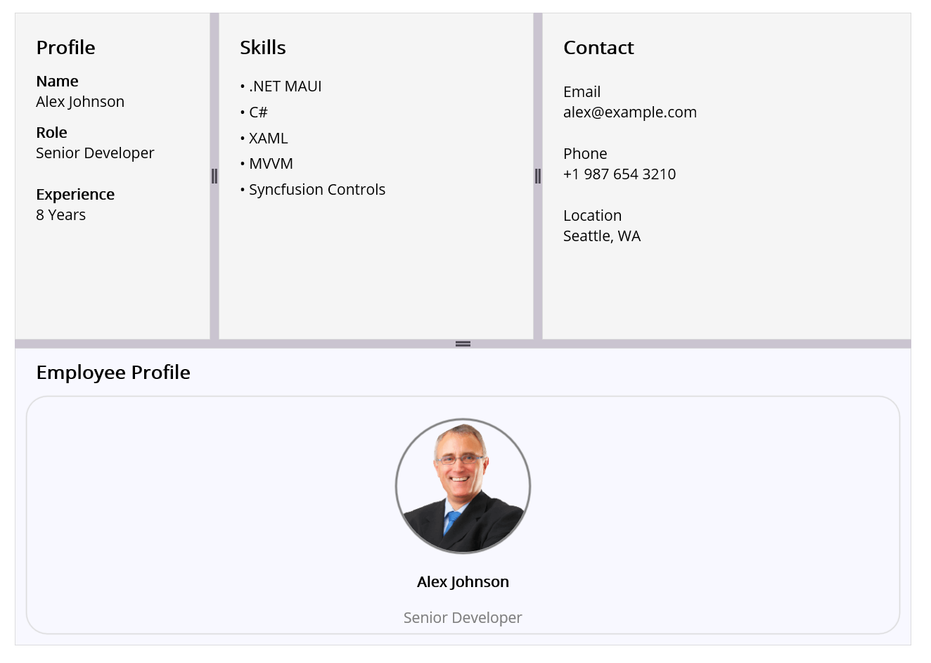 Nested .NET MAUI Grid Splitter showing resizable employee profile panes