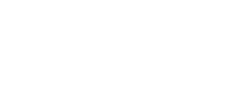 ACE1 Logo