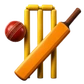 Beyond Cricket 