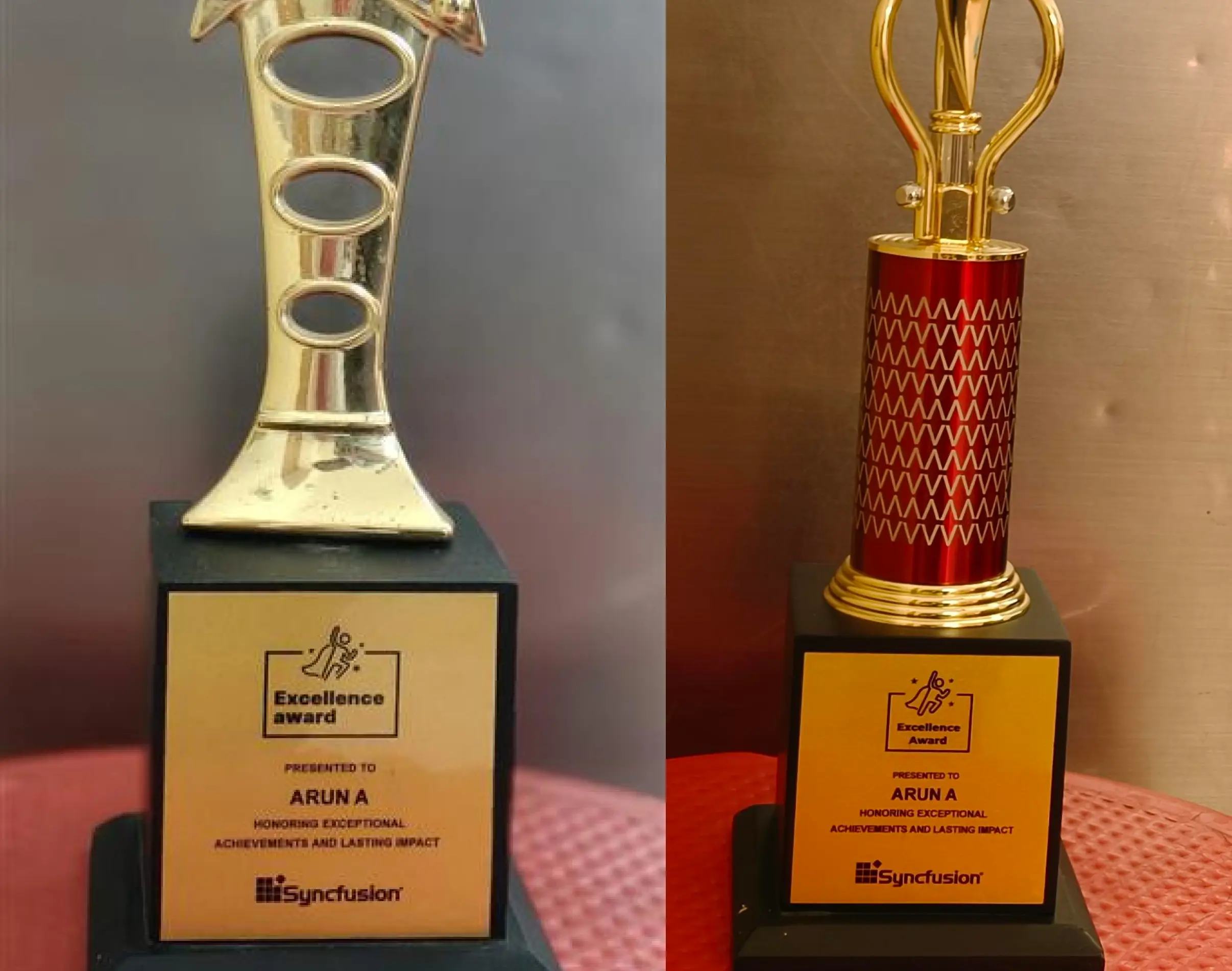 Arun Amuthakani Awards