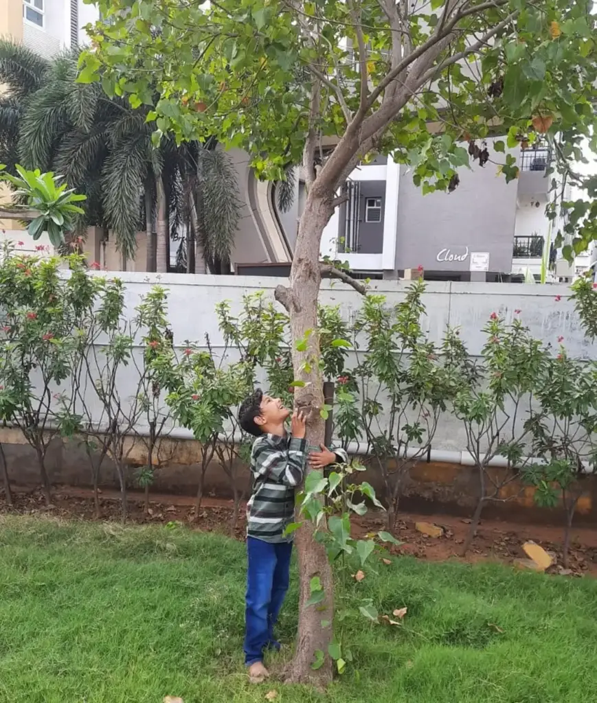 Baskaran Sethurajan son hugging tree with smile