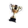 The Achievement 