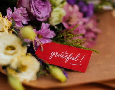 Gratitude Along the Journey 