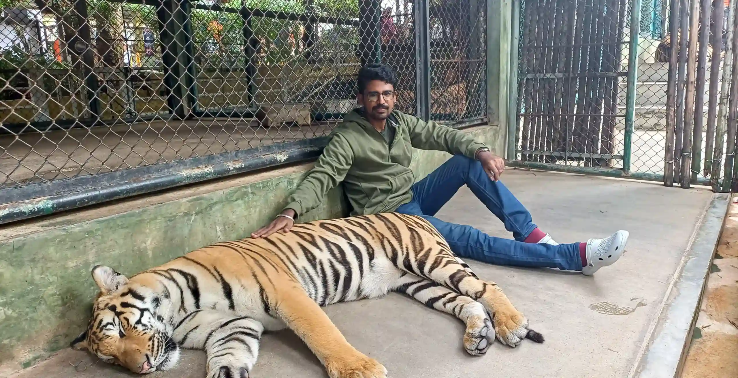 Muneesh kumar in park sitting with tiger