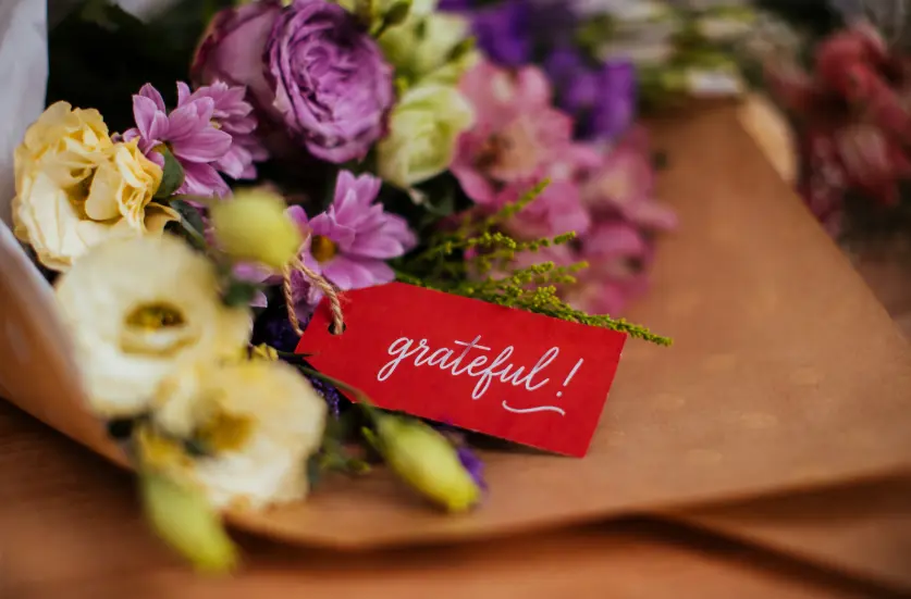 Gratitude Along the Journey  