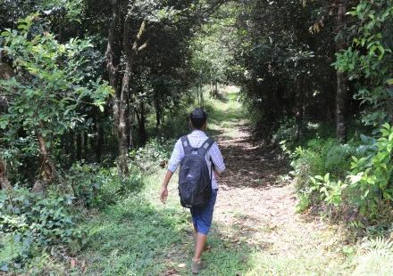 Sabari Anand walking inside tree