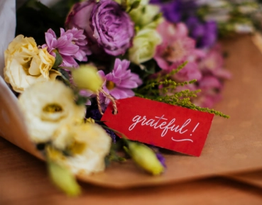 Gratitude Along the Journey
