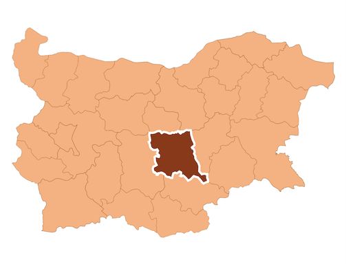 Flutter Maps | Interactive Map Custom markers | Syncfusion