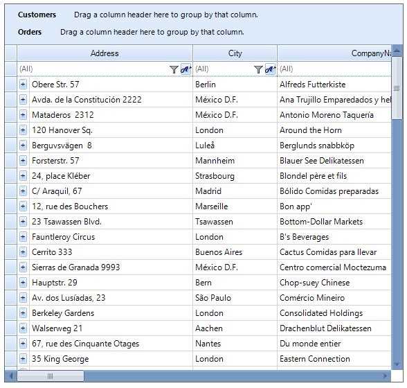 Essential DataGrid for Windows Forms