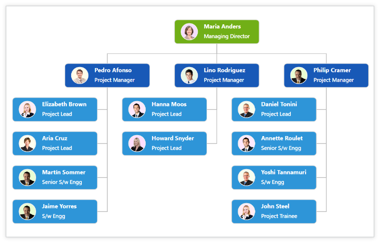 Telerik Org Chart