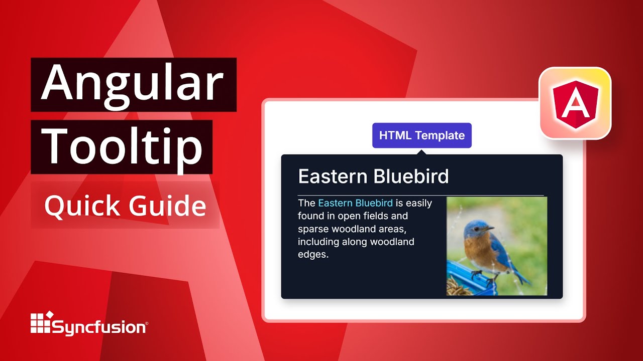 Angular-Tooltip-The-Ultimate-Feature-Walkthrough