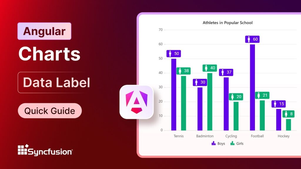 Angular Charts: Data Label Feature Walkthrough