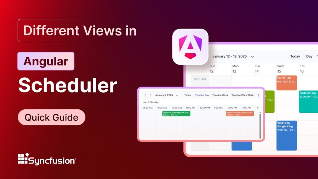 Angular Scheduler: Different Views Feature Walkthrough
