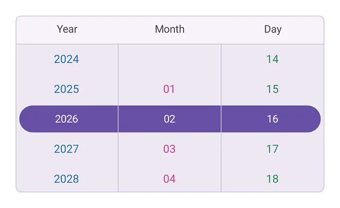 Date Picker custom columns