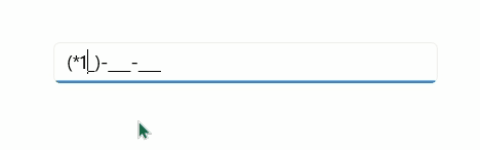 MAUI MaskedEntry Password delay duration support.
